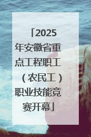 2025年安徽省重点工程职工（农民工）职业技能竞赛开幕