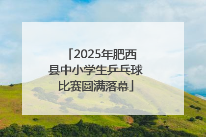 2025年肥西县中小学生乒乓球比赛圆满落幕