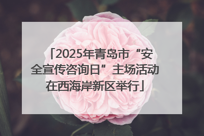 2025年青岛市“安全宣传咨询日”主场活动在西海岸新区举行