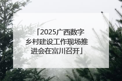2025广西数字乡村建设工作现场推进会在富川召开