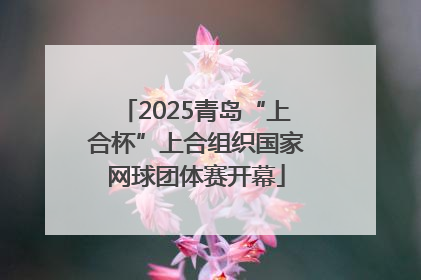 2025青岛“上合杯”上合组织国家网球团体赛开幕