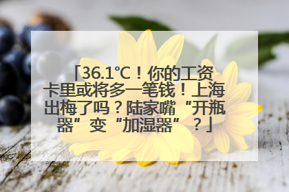 36.1℃！你的工资卡里或将多一笔钱！上海出梅了吗？陆家嘴“开瓶器”变“加湿器”？