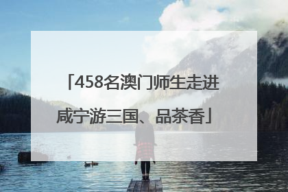 458名澳门师生走进咸宁游三国、品茶香
