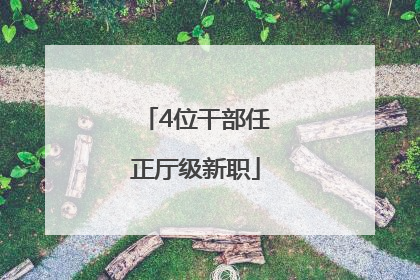 4位干部任正厅级新职