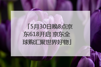 5月30日晚8点京东618开启 京东全球购汇聚世界好物