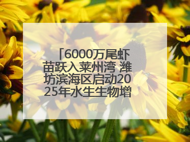 6000万尾虾苗跃入莱州湾 潍坊滨海区启动2025年水生生物增殖放流工作