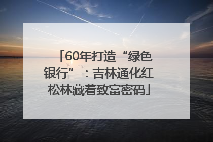 60年打造“绿色银行”：吉林通化红松林藏着致富密码