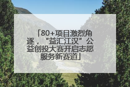 80+项目激烈角逐，“益汇江汉”公益创投大赛开启志愿服务新赛道