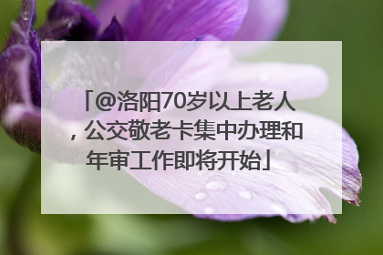 @洛阳70岁以上老人，公交敬老卡集中办理和年审工作即将开始