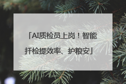AI质检员上岗！智能扦检提效率、护粮安