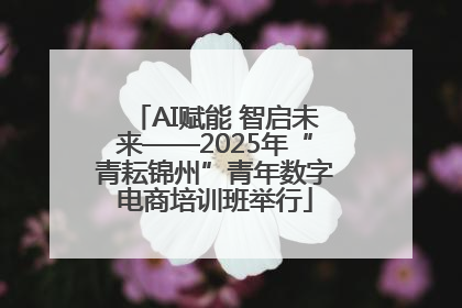 AI赋能 智启未来——2025年“青耘锦州”青年数字电商培训班举行