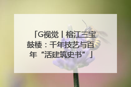 G视觉丨榕江三宝鼓楼：千年技艺与百年“活建筑史书”
