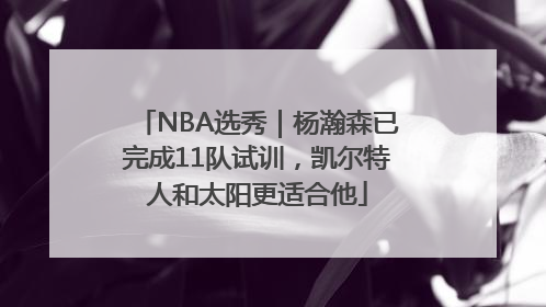 NBA选秀｜杨瀚森已完成11队试训，凯尔特人和太阳更适合他