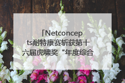 Netconcepts耐特康赛斩获第十六届虎啸奖“年度综合服务商”大奖