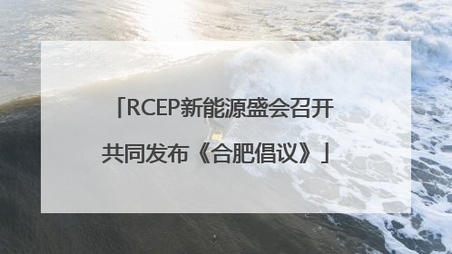 RCEP新能源盛会召开 共同发布《合肥倡议》